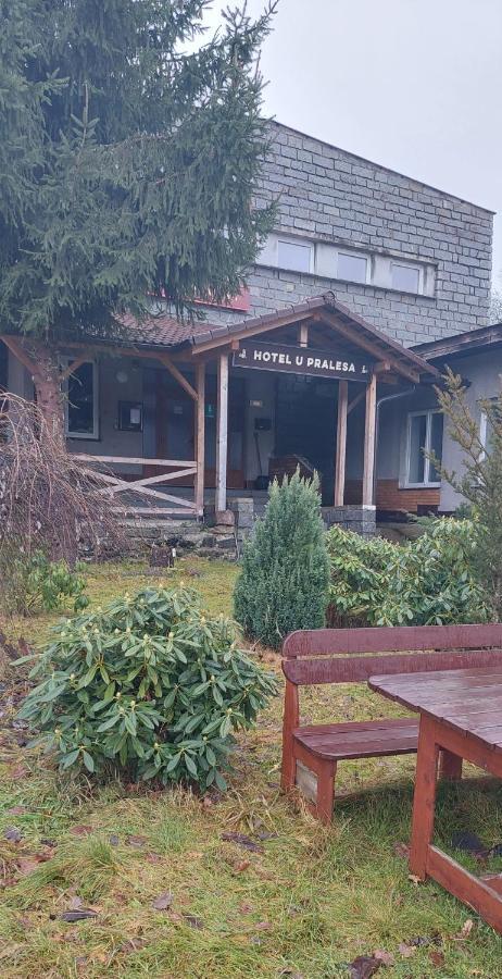 Apartmán NOVOHRADKY 22 Benesov nad Cernou Kültér fotó