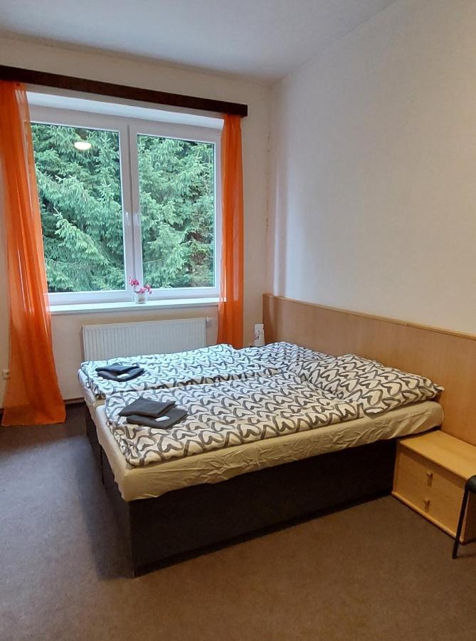Apartmán NOVOHRADKY 22 Benesov nad Cernou Kültér fotó