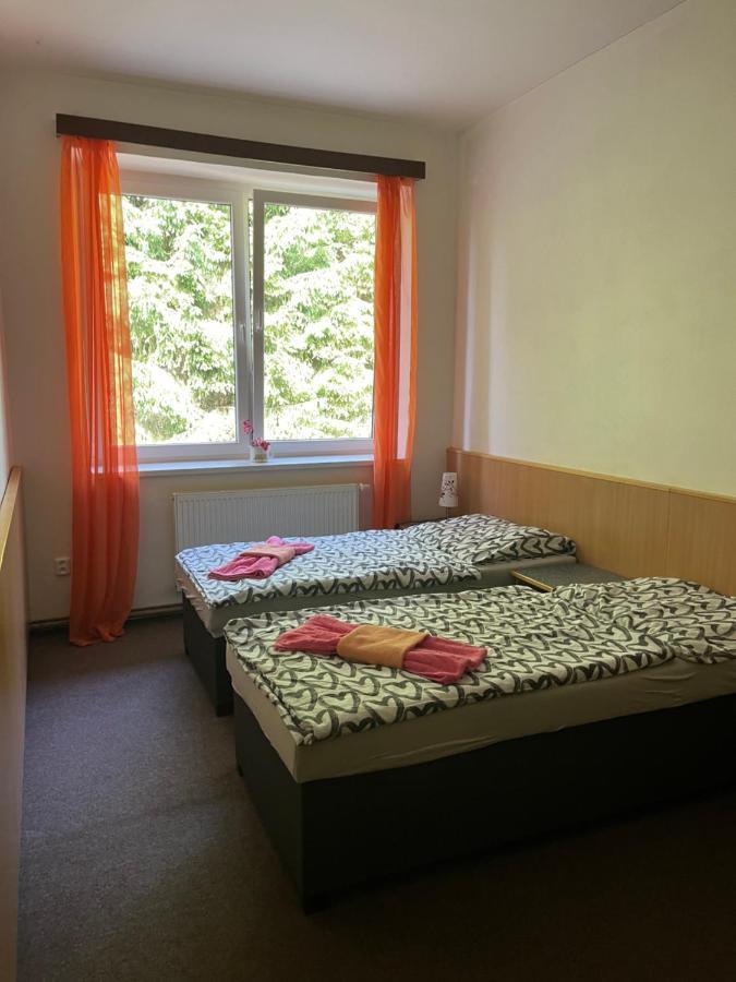Apartmán NOVOHRADKY 22 Benesov nad Cernou Kültér fotó