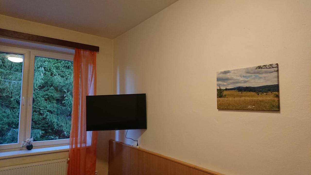 Apartmán NOVOHRADKY 22 Benesov nad Cernou Kültér fotó