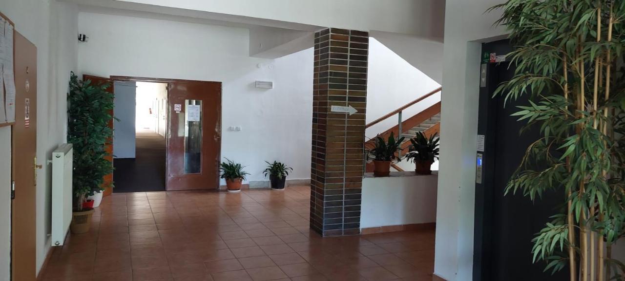 Apartmán NOVOHRADKY 22 Benesov nad Cernou Kültér fotó