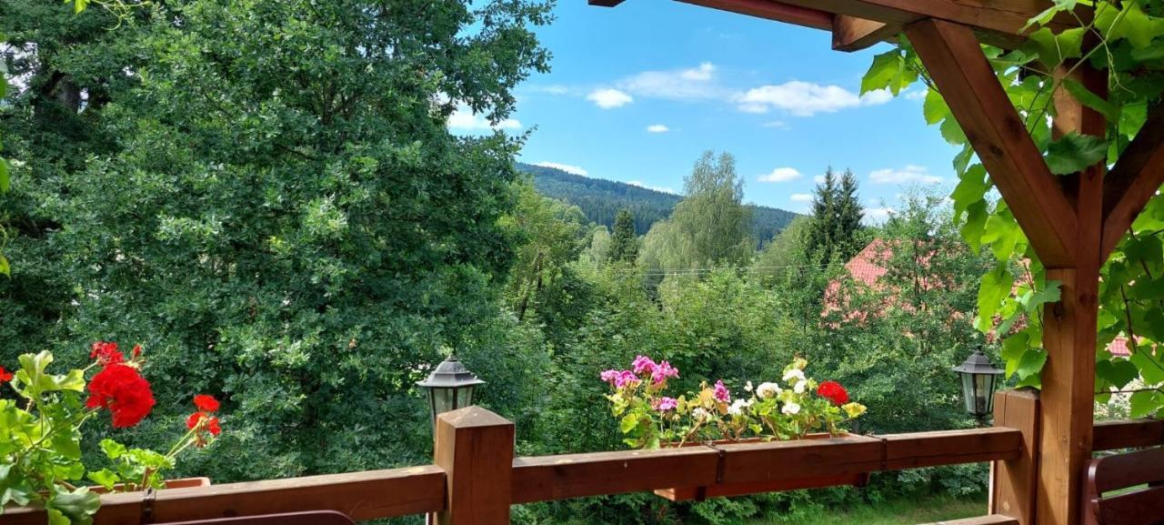 Apartmán NOVOHRADKY 22 Benesov nad Cernou Kültér fotó